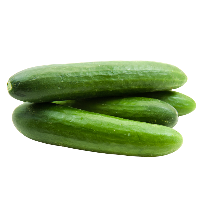 Salatalık