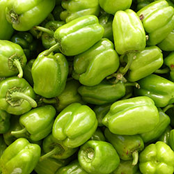 Dolma Biber